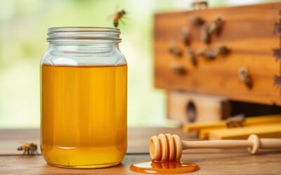 Ce qu’il faut savoir sur la composition du miel