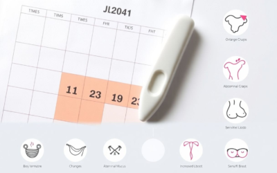 Comprendre l’ovulation : tout ce que vous devez savoir