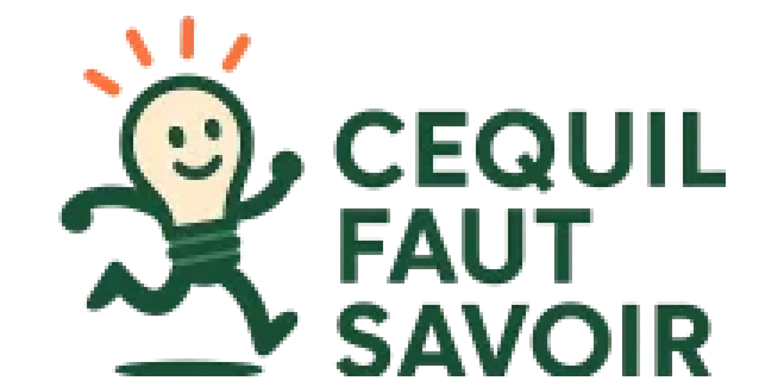 Ce Qu'il Faut Savoir